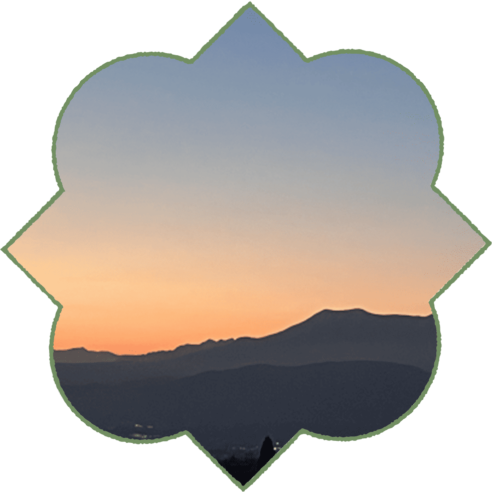 About Tara Trip